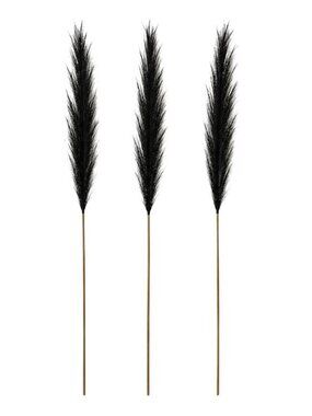 Black Pampas Grass Decor Set of 3 Faux Pampas Stems Gothic Decor Dark Academia H